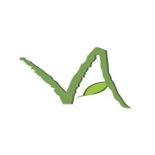Vision Avenue Homes