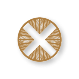 TownX Development